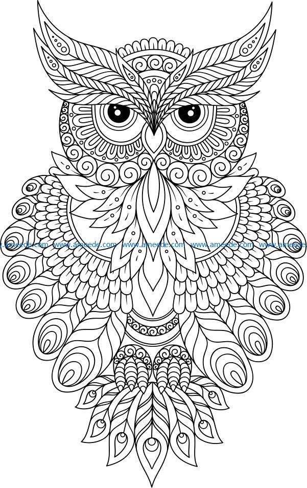 Owls with gorgeous fur file cdr and dxf free vector download for laser engraving machines