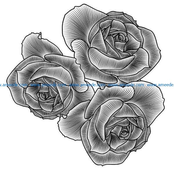 three roses file cdr and dxf free vector download for laser engraving machines