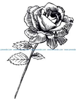 Rose file cdr and dxf free vector download for laser engraving machines