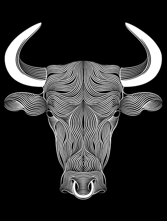 3D illusion led lamp Buffalo head E0011124 file cdr and dxf free vector download for laser engraving machines 1