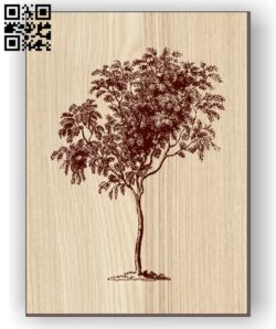 Mountain ash E0011064 file cdr and dxf free vector download for laser engraving machines