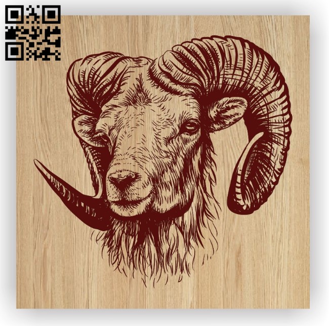 Bighorn sheep E0012414 file cdr and dxf free vector download for laser engraving machines