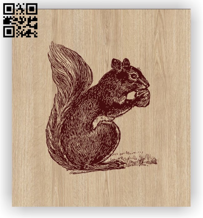 Squirrel E0012371 file cdr and dxf free vector download for laser engraving machines