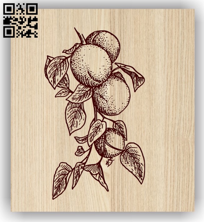 Apricots E0013956 file cdr and dxf free vector download for laser engraving machine