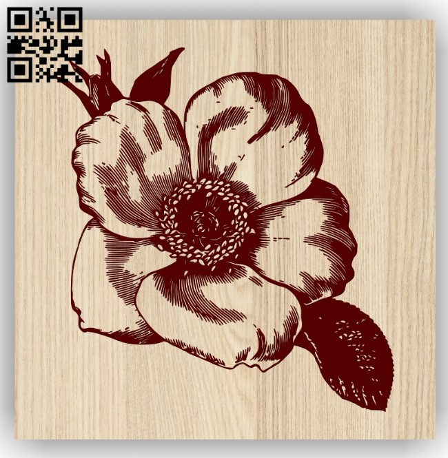 Five-pointed flower E0013757 file cdr and dxf free vector download for laser engraving machine