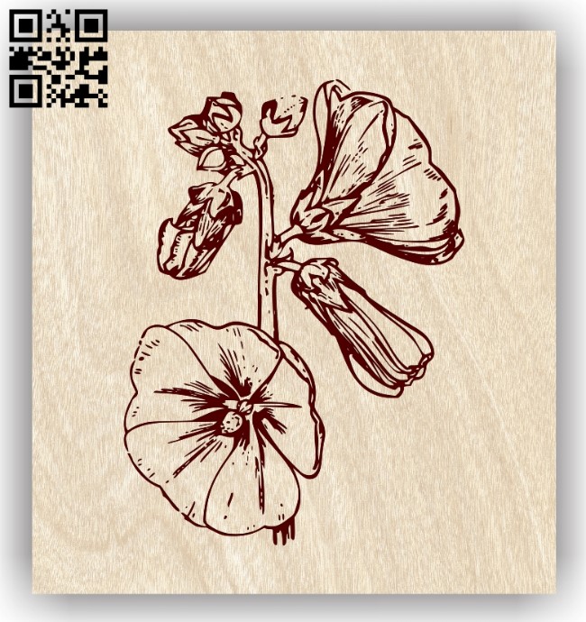 Hollyhock flowers E0013920 file cdr and dxf free vector download for laser engraving machine