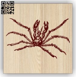 Spider E0013761 file cdr and dxf free vector download for laser engraving machine