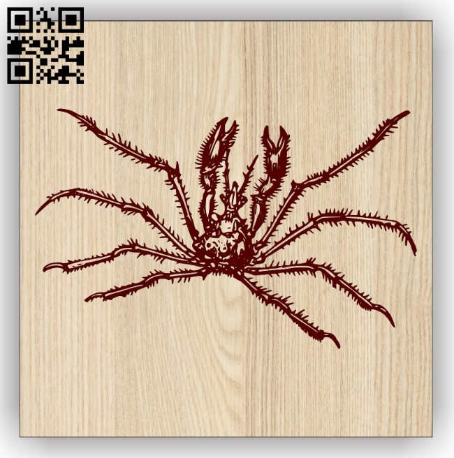 Spider E0013761 file cdr and dxf free vector download for laser engraving machine