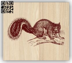 Squirrel E0014695 file cdr and dxf free vector download for laser engraving machine