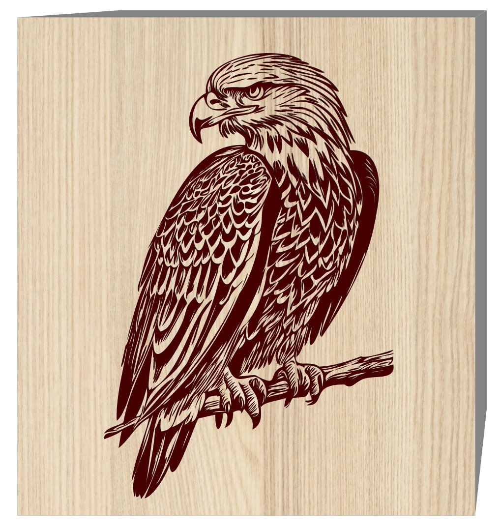 Eagle E0019581 file cdr and dxf free vector download for laser engraving machine
