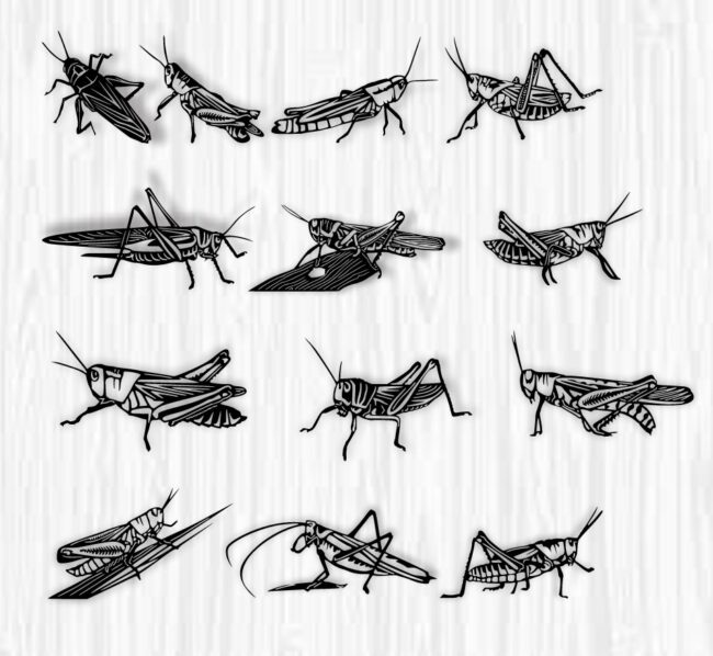 Grasshopper E0019450 file cdr and dxf free vector download for laser cut plasma
