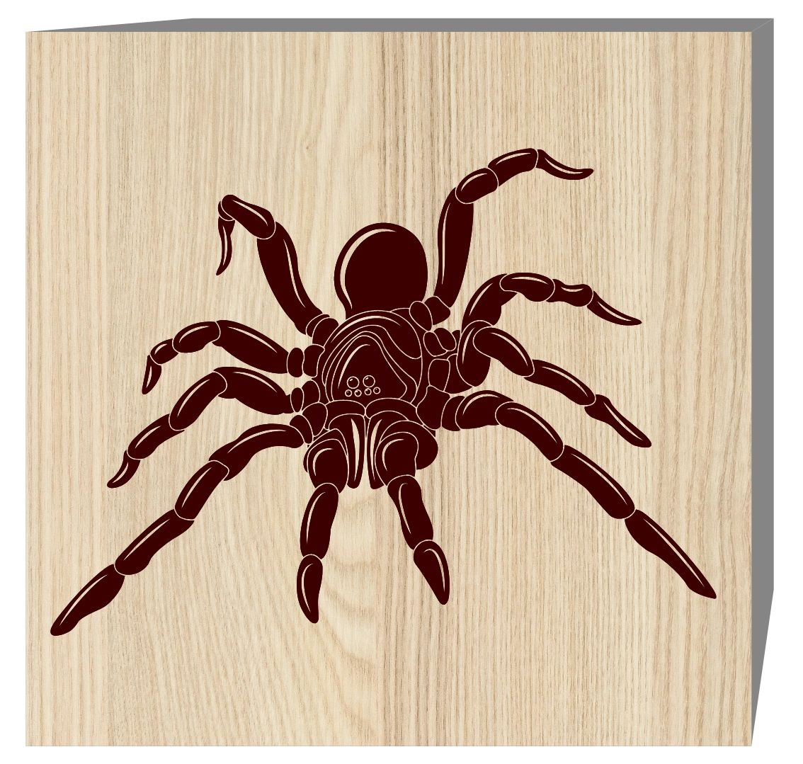 Spider E0019597 file cdr and dxf free vector download for laser engraving machine