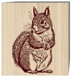 Squirrel E0019719 file cdr and dxf free vector download for laser engraving machine