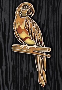 Multilayer parrot E0019724 file cdr and dxf free vector download for laser cut