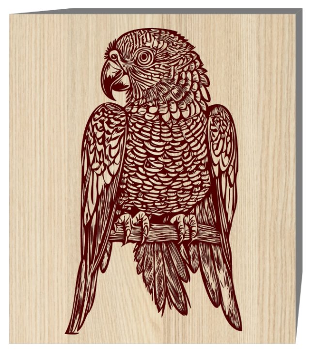 Parrot E0019792 file cdr and dxf free vector download for laser engraving machine