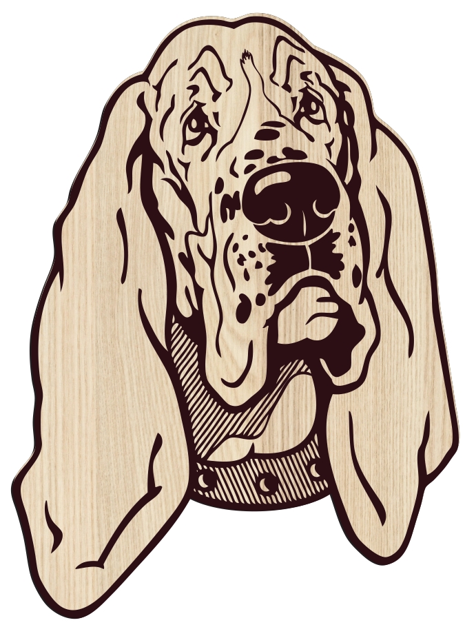 Basset Hound Dog Stock TH00000010 file cdr and dxf free vector download for laser engraving machine