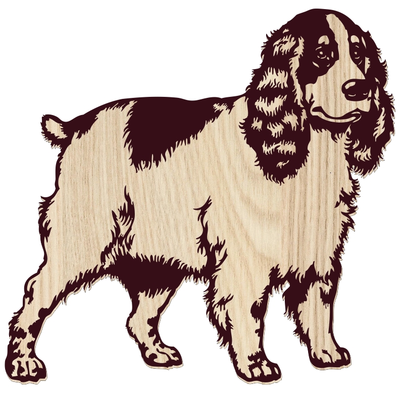Spaniel dog TH00000011 file cdr and dxf free vector download for laser engraving machine