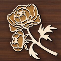 Peony E0020767 file cdr and dxf free vector download for print or laser cut