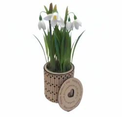 Flower Pot E0024937 file cdr and dxf pdf free vector download for laser cut